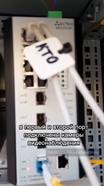 Промышленный коммутатор MES3510P Eltex. Видео[Охота] на eltexcm.ru