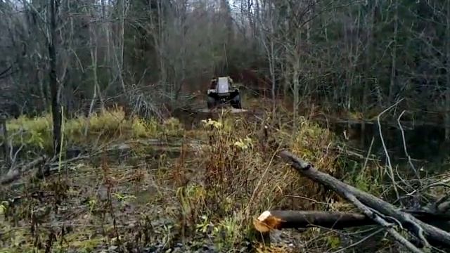 Снегоболотоход 