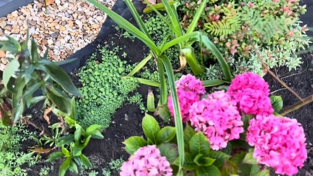 Как нам доставили мягкую мебель. № 645 Жизнь в Англии смотреть онлайн