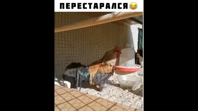 лучшие МЕМЫ 2021 ГОДА / Ч.2 / ЛУЧШИЕ МЕМЫ НЕДЕЛИ смотреть онлайн
