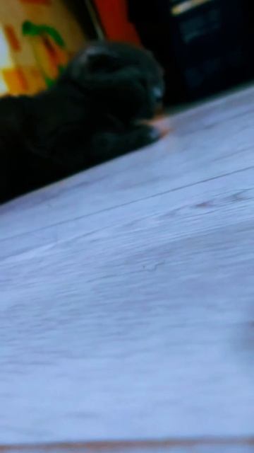 как вам моя приора на посадке напишите в коммы пж#прио? смотреть онлайн