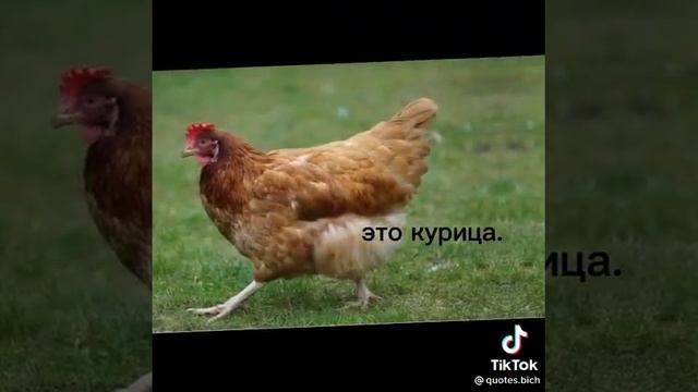 девочки не доски девочки не могут быть досками девочк? смотреть онлайн