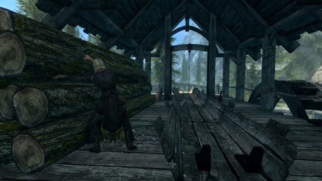 TES V: Skyrim В день два раза делай позвоночник не будет болеть смотреть онлайн