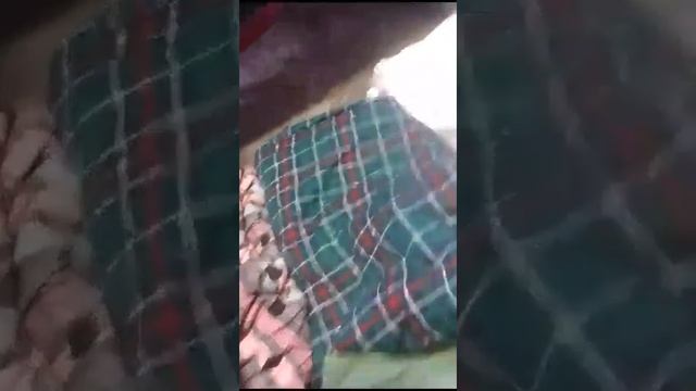 Обзор тканей от ВЛАДтекс - Рибана, Кашкорсе и другие тр