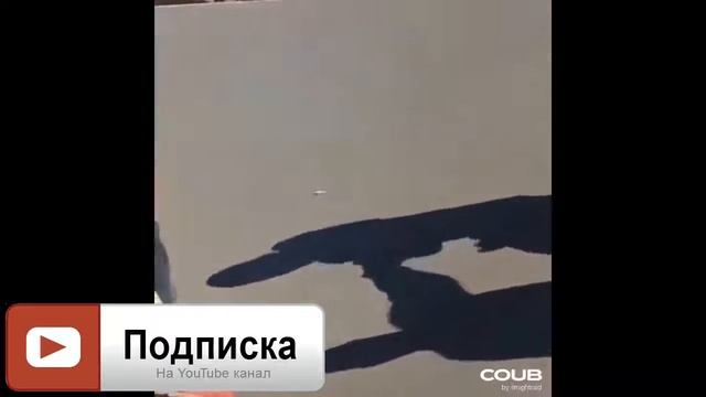 ЛУЧШИЕ ПРИКОЛЫ 2020 Март №1 смотреть онлайн