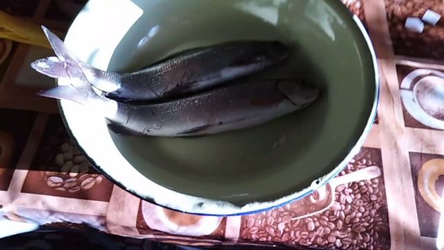 Куда смотреть онлайн