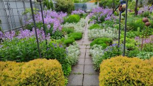 Прогуляемся по саду и поговорим о красоте и как её создать. Полный обзор южного сада 13.05.2025 г.