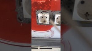 Как помыть розетки и выключатели. Только для девочек!