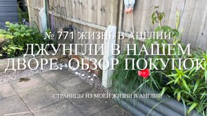 Джунгли в нашем дворе. Обзор покупок. Люси и команды. № 771 Жизнь в Англии