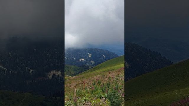 Последний уровень канатки "Роза Хутор, ПИК" смотреть онлайн