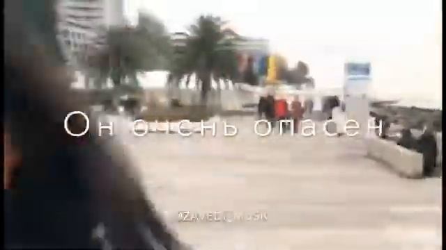 Я царь зверей 🦁🦁🦁 смотреть онлайн