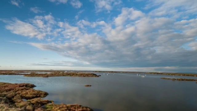 Андрей Обидин и его прекрасная музыка_монтаж Инна Скокова