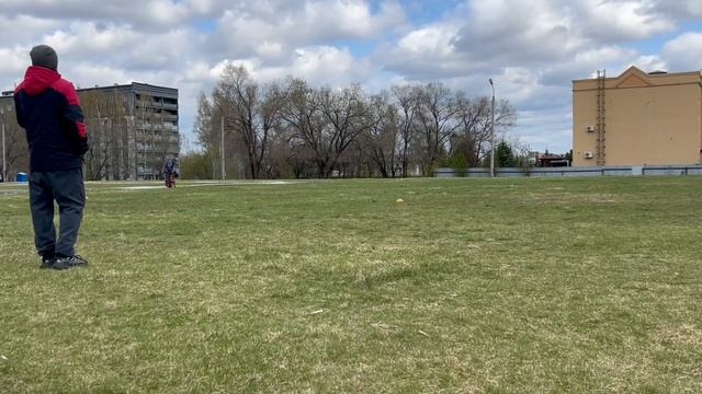 3 Отл. VARGAS f. Katerina Stolts +++ №10 / КЧК КЕМЕРОВО 4 мая`25 И.Ширан Моно н/о