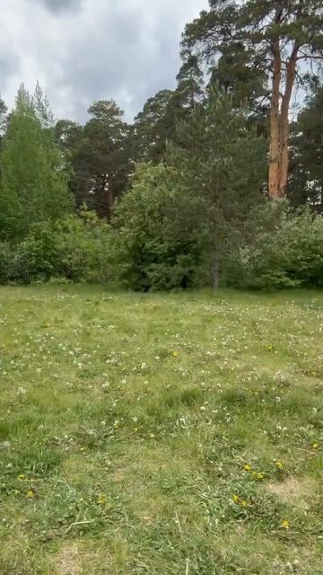 Фото✌🏻 #funny #memes #топ #рекомендации #природа #подруги #д