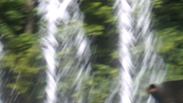 DSCN8027 Железноводск май 2025