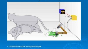 Многомировая интерпретация Эверетта