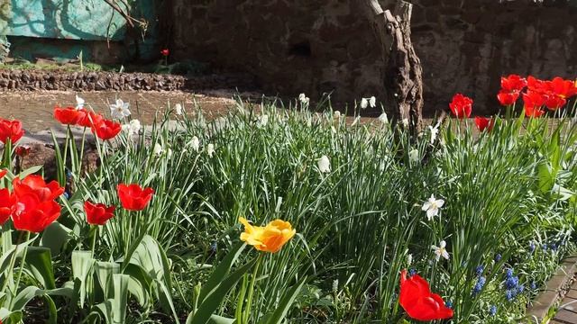 Весенние мотивы 23 04 25г смотреть онлайн