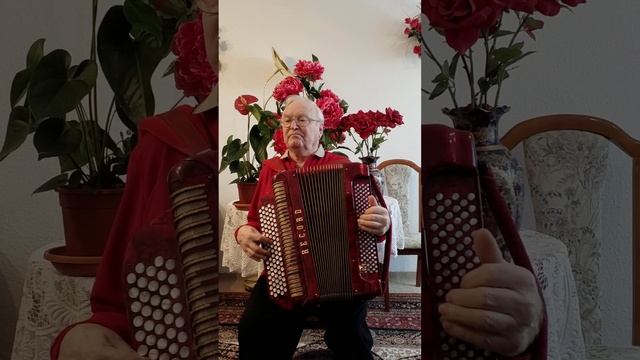 Розы без шипов.