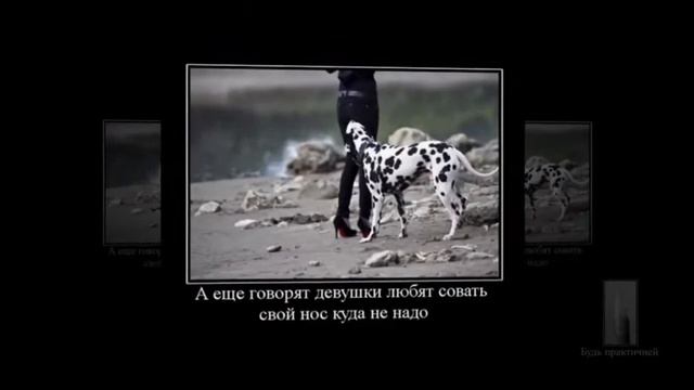 Красивые Девки - дуры не потому, а что... Женская логика такая! смотреть онлайн