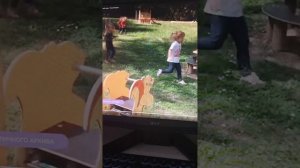 Программа Baby Time на BRIDGE TV 21.11.2018 год с Ираклием начало сю