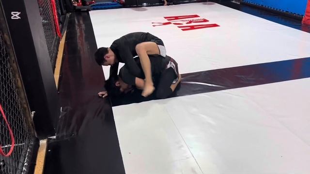 в 36 лет в мма стоит ли?