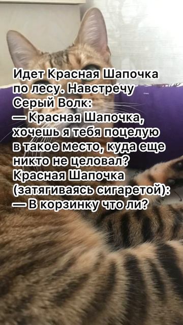 Про красную шапочку. #анекдоты #анекдототкожаного #анекдоткороткий смотреть онлайн