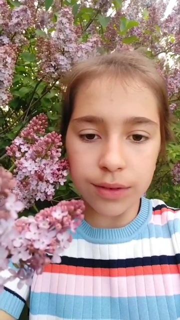 🪻Турецкий Язык с Есенией
Сирень Leylak смотреть онлайн