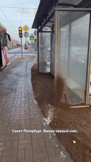 Ох уж этот Питер…. Откуда такая ненависть к городу ?!? # смотреть онлайн