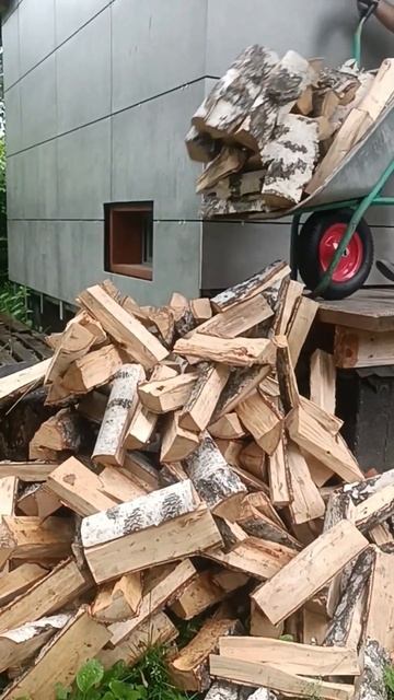 Заготовка дров. Берёза #заготовка дров#готовьсанилето смотреть онлайн