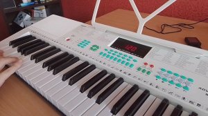 Rammstein - Du Hast на синтезаторе