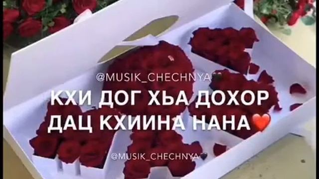 Песня. Къинт1ера ялахьа са хьоме НАНА Лазинехь 1овжинехь Хьа Дог Ас НАНА