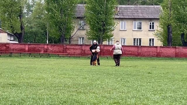 б/о БРУНО из Дома Сибирины не/отп. №5 / КЧК КИСЕЛЕВСК 11 мая`25 Н.Тихонова Моно н/о