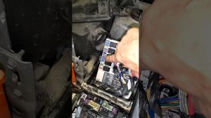 nissan x-trail t31  не включается бензонасос