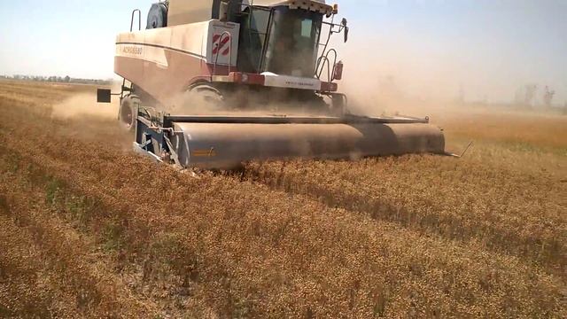 Очесывающая жатка ОЗОН Культура Лён масличный смотреть онлайн