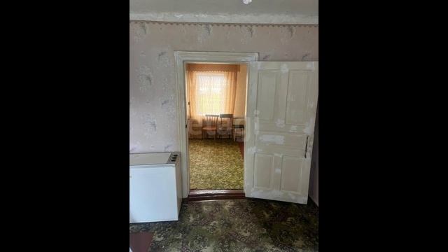 7794224 смотреть онлайн