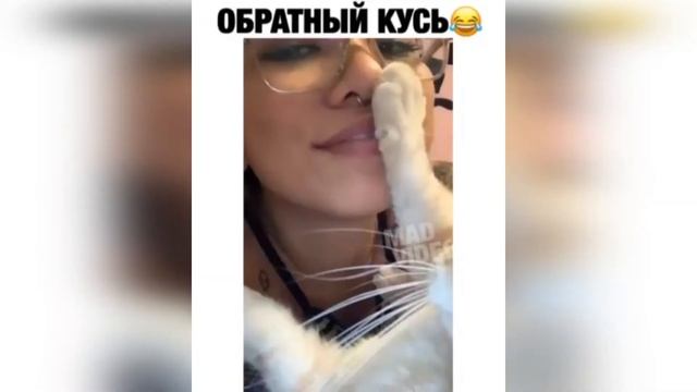 #9 | Я БОЮСЬ СВОЮ ЖЕНУ | ПРИКОЛЫ, ФЕЙЛЫ, СМЕХ, ВЕСЕЛЬЕ смотреть онлайн