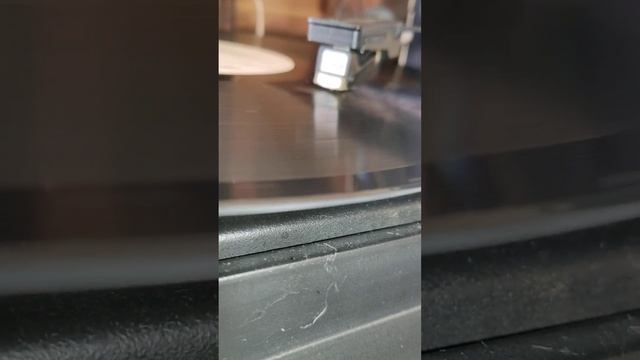 где-то по свету счастье блуждает моё (#lovestatus #vinyl #lovesongs #