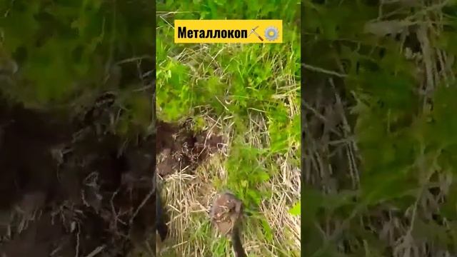 О)(РЕНЕТЬ 😲 МЕТАЛЛ ПРЁТ , РАБОТА ИДЁТ #находка #металло смотреть онлайн