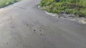 СКОЛЬКО ПРОЕДЕТ НОВЫЙ ЭНДУРИК Motoland xr 300 lite на 1 литре БЕ