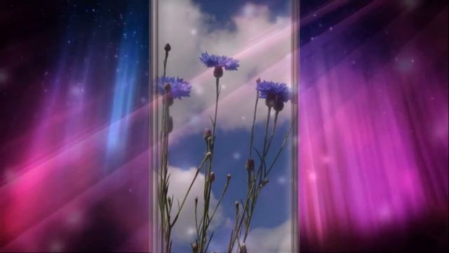 Добрый вечер Цветы для Вас под хорошую песню