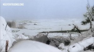 Сталинград