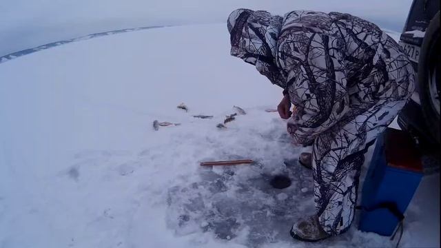 Ангара. Ловля окуня с глубины 12 метров. 01.12.16г. смотреть онлайн