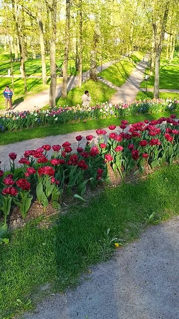 Гатчинский парк. смотреть онлайн