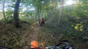 regulmoto holeshot 300 прохват