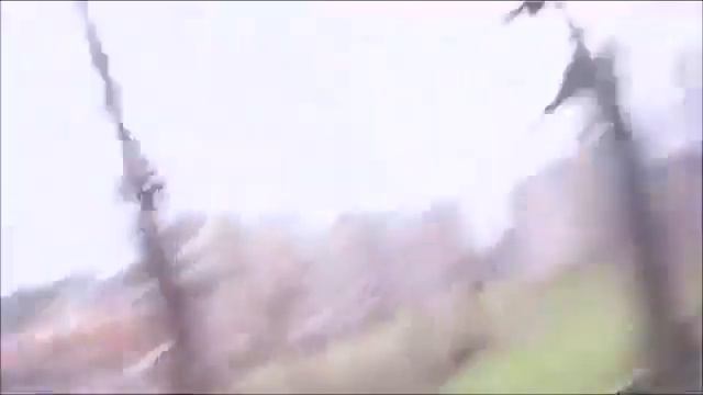 А я думала сова... смотреть онлайн