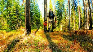 ГРИБНИК ЗАШЕЛ В ЛЕС И ОБАЛДЕЛ! ГРИБ НА ГРИБЕ ТАКОГО НЕ ОЖИДАЛ! ТИХАЯ ОХОТА В МАЕ. ГРИБЫ 2025