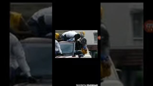 Смешные коты с озвучкой о отеняем смотреть онлайн