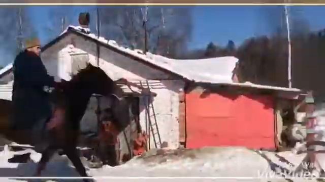 Игнатовский,лошади,казаки смотреть онлайн