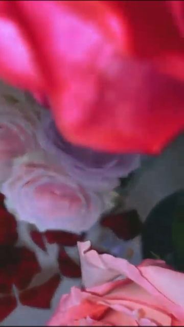 ТВОЙ ФРАНЦУЗСКИЙ ПОЦЕЛУЙ 😍💋 ЗАДАРИЛ РОЗАМИ 😱😱😱 Н