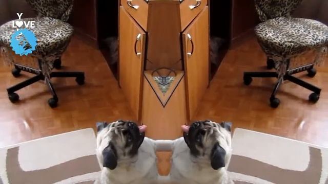 Доброе-предоброе утро! ---.mp4 смотреть онлайн